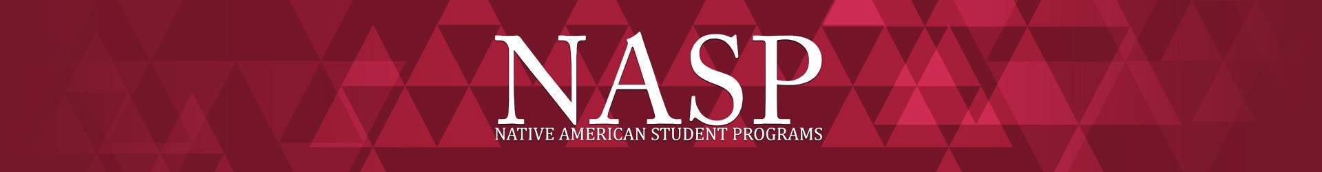 Scholarship Internships Native American Student Programs